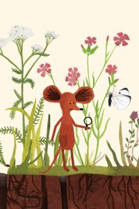Little Mouse's Encyclopedia Xbox Series