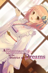 A Butterfly in the District of Dreams