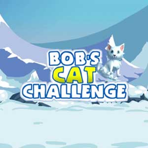 Bobs Cat Challenge