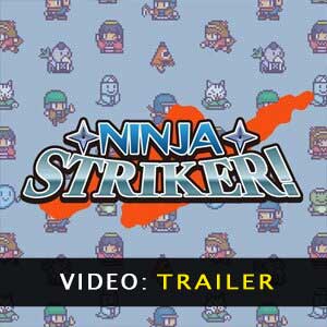 Ninja Striker