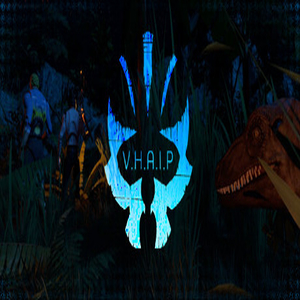 VHAIP VR