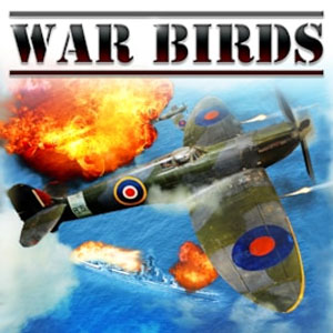 War Birds WW2 Air Strike 1942