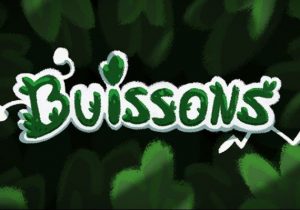 Buissons