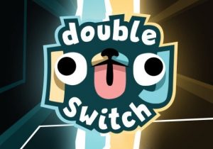 Double Pug Switch
