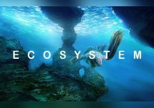 Ecosystem