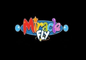 Miracle Fly