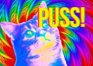 PUSS