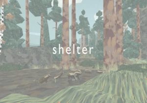 Shelter