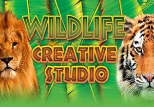 Wildlife Creative Studio