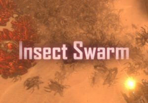 Insect Swarm