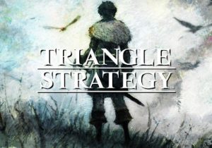 TRIANGLE STRATEGY