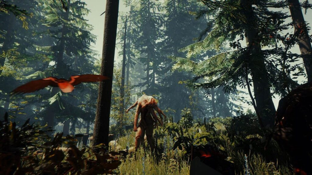The Forest – offizielles PS4-Artwork mit Waldlandschaft