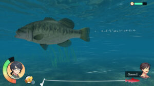 Reel Fishing Days of Summer – Gameplay und Angelgebiete, offizieller Screenshot