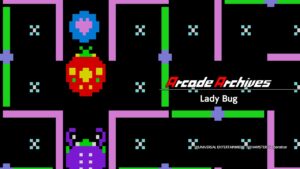 Arcade Archives Lady Bug Switch