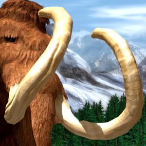 Wildlife Park: Wild Creatures Android