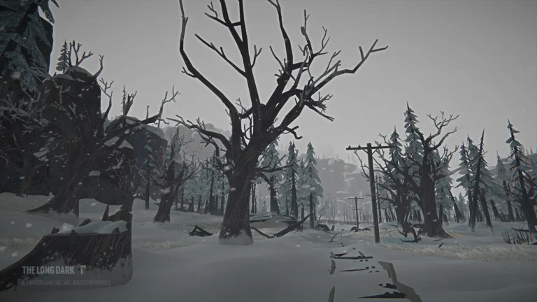 The Long Dark Tales from the Far Territory Screenshot 9