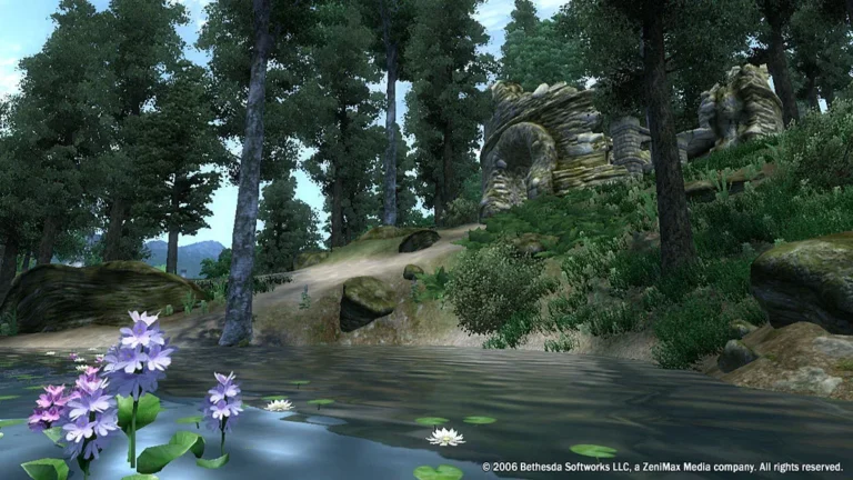 The Elder Scrolls IV: Oblivion Screenshot 3