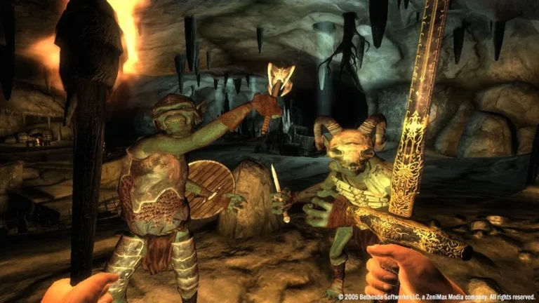 The Elder Scrolls IV: Oblivion Screenshot 8