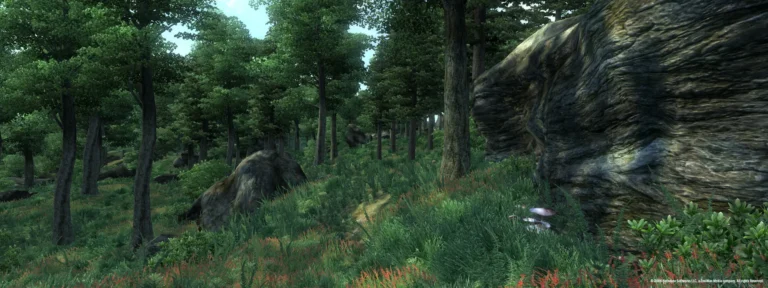 The Elder Scrolls IV: Oblivion Screenshot 2