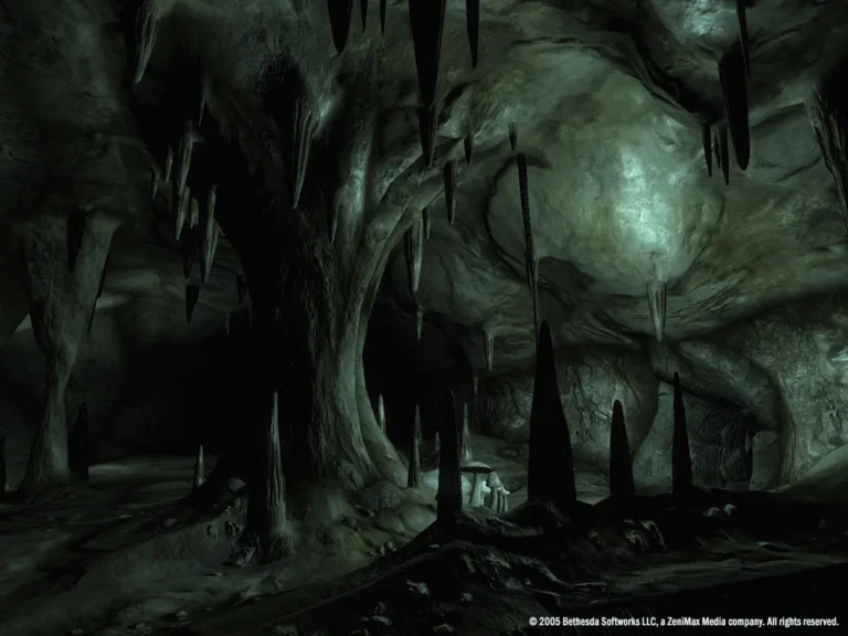 The Elder Scrolls IV: Oblivion Screenshot 10