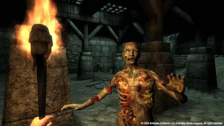 The Elder Scrolls IV: Oblivion Screenshot 6