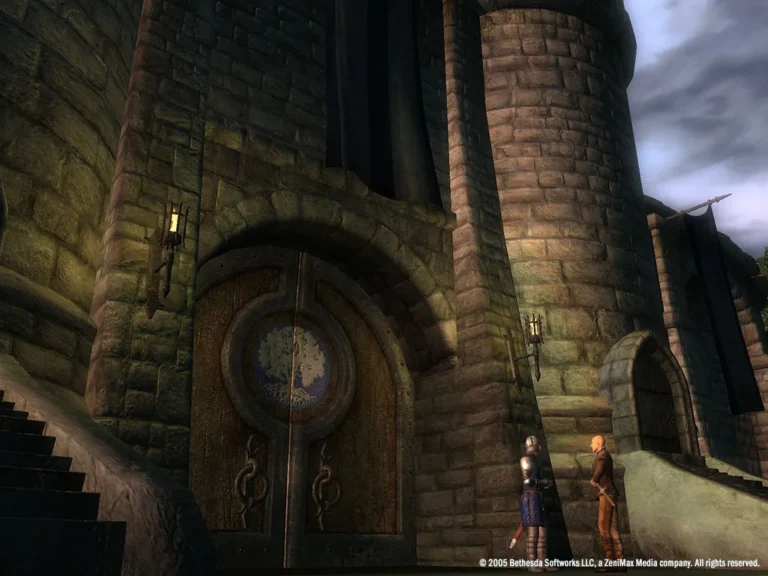 The Elder Scrolls IV: Oblivion Screenshot 9