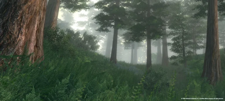 The Elder Scrolls IV: Oblivion Screenshot 1