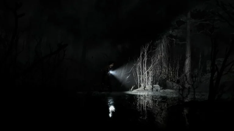 Silver Pines Screenshot 8