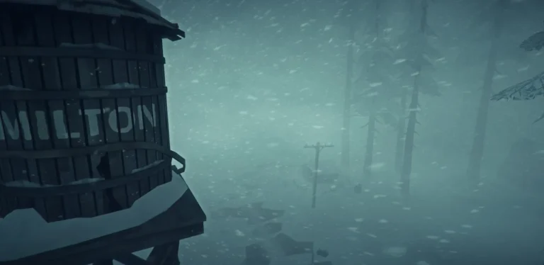 The Long Dark Screenshot 3