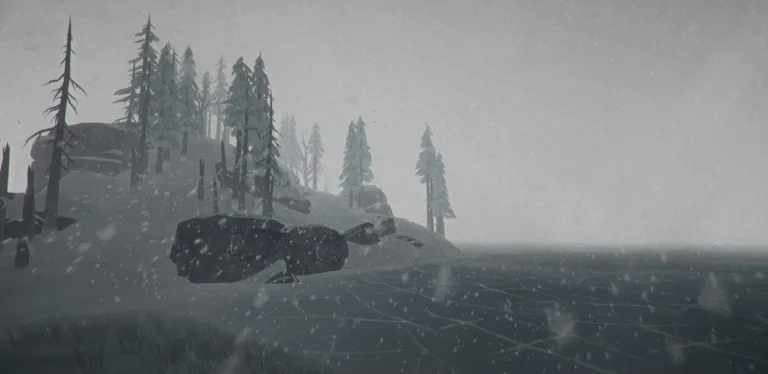 The Long Dark Screenshot 10