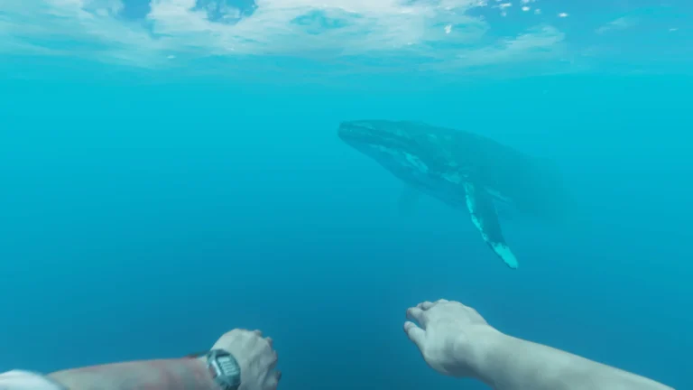 Stranded Deep Screenshot 10