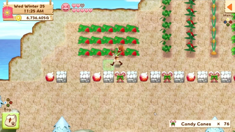 Harvest Moon: Light of Hope Screenshot 5