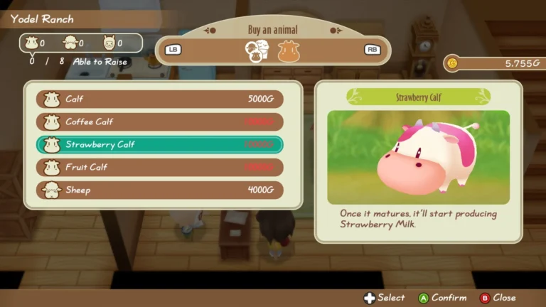 STORY OF SEASONS: Friends of Mineral Town Screenshot 8