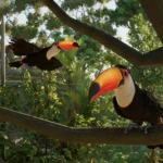 Planet Zoo 2 ist erschienen: Wildtierreservate erweitern den Artenschutz 1 440649 none hero 7759725a69266d1b