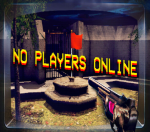No Players Online