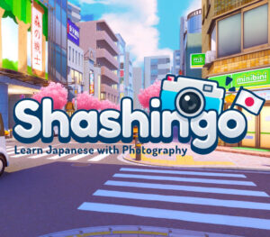 Shashingo